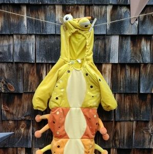 Silly Caterpillar Costume Cozy & Warm